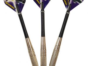Roleo Steeldartpfeile R-3 19g