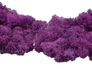 Muwse Islandmoos Viola 50 g händisch gerupft Osternest Weihnachtskrippe