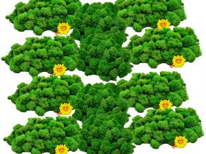 Muwse Islandmoos Grasgrün 1000 g Basteln Wandbilder Dekoration Gestalten