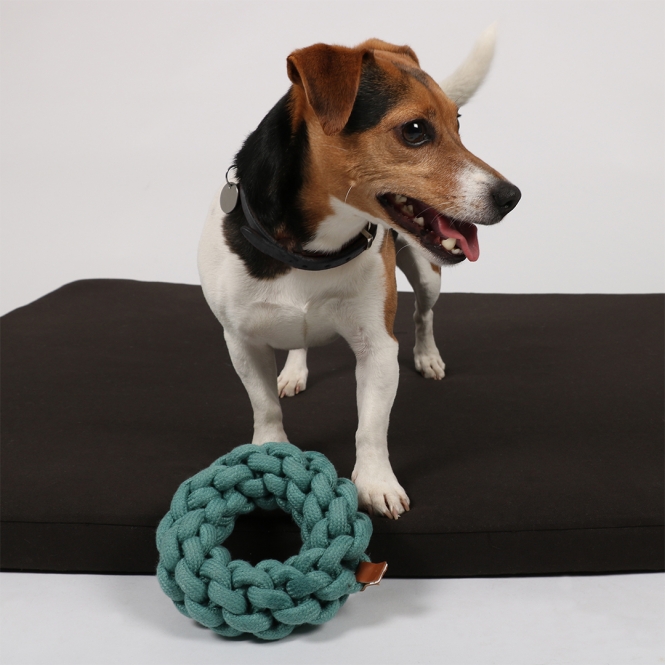 D&D Baumwollring Ben - blau - 19 x 19 x 5cm – Bild 4