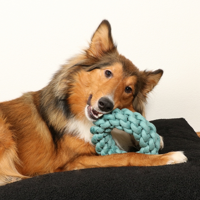 D&D Baumwollring Ben - blau - 19 x 19 x 5cm – Bild 6