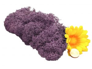 Muwse Islandmoos Flieder 10 g Maßstab Spur G Modellbau