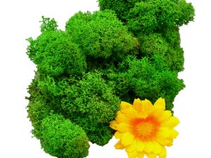 Muwse Islandmoos Grasgrün 25 g Maßstab Spur G Modellbau