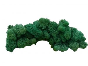 Muwse Islandmoos Kieferngrün 50 g Maßstab Spur G Modellbau