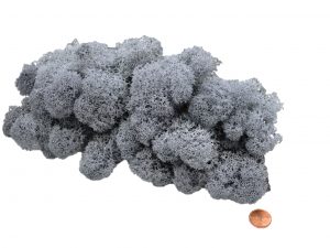 Muwse Islandmoos Titangrau 50 g Maßstab Spur G Modellbau