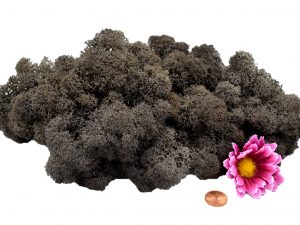 Muwse Islandmoos Dunkelgrau 50 g Maßstab Spur G Modellbau