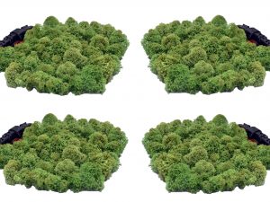 Muwse Islandmoos Tannengrün 100 g Maßstab Spur N Modellbau