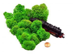 Muwse Islandmoos Grasgrün 10 g Maßstab Spur N Modellbau