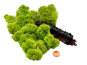 Muwse Islandmoos Frühlingsgrün 10 g Maßstab Spur N Modellbau