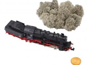 Muwse Islandmoos Cremeweiss 5 g Maßstab Spur N Modellbau