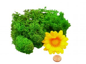 Muwse Islandmoos Grasgrün 10 g Maßstab Spur 0 Modellbau