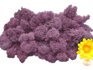 Muwse Islandmoos Flieder 50 g Maßstab Spur 0 Modellbau