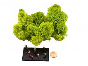 Muwse Islandmoos Frühlingsgrün 10 g Maßstab Spur TT Modellbau