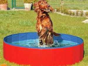 Karlie DOGGY POOL der Swimmingpool für Hunde - Rot-Blau - 160 cm