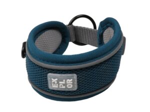 Duvoplus EXPLOR Ultimate Fit Control Halsband Classic - petrol blue - L - 45-51cm